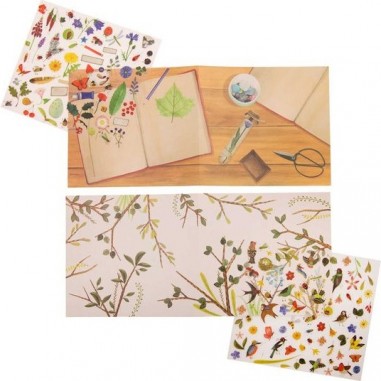 Décalcomanies du botaniste - Fleurs, Insectes - Le Jardin du Moulin - Moulin Roty