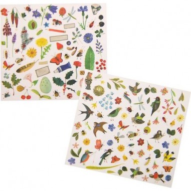 Décalcomanies du botaniste - Fleurs, Insectes - Le Jardin du Moulin - Moulin Roty