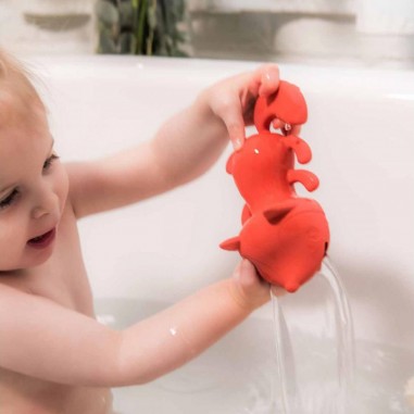 Jouet de bain - Alice La renarde - Flotteur - Lilliputiens