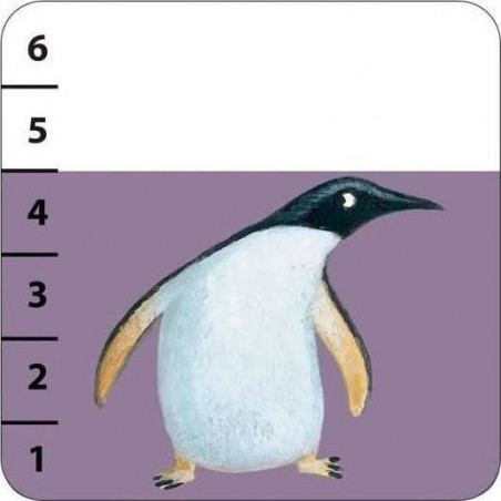 Jeu De Cartes - Batanimo