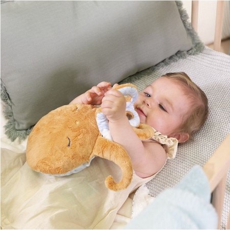 Peluche bien-être bouillotte poulpe Petit calme - Kaloo