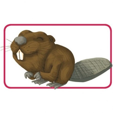 Concept kids animaux - Asmodee