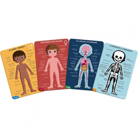 Puzzle corps humain - 4 Puzzles éducatifs géants dès 5 ans - Janod