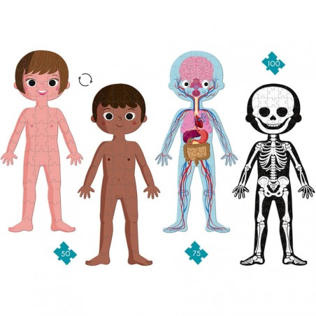 Puzzle corps humain - 4 Puzzles éducatifs géants dès 5 ans - Janod