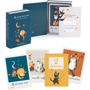 Mes 12 Premiers Mois Cartes de Naissance Les Moustaches - Moulin Roty