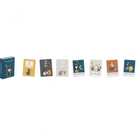 Mes 12 Premiers Mois Cartes de Naissance Les Moustaches - Moulin Roty