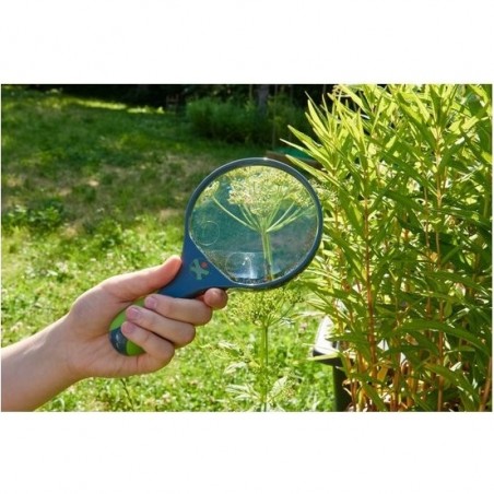Loupe pour enfant - Haba Terra Kids