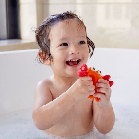 Jouet pour le bain : les amis du rocher - hape - Hape Toys