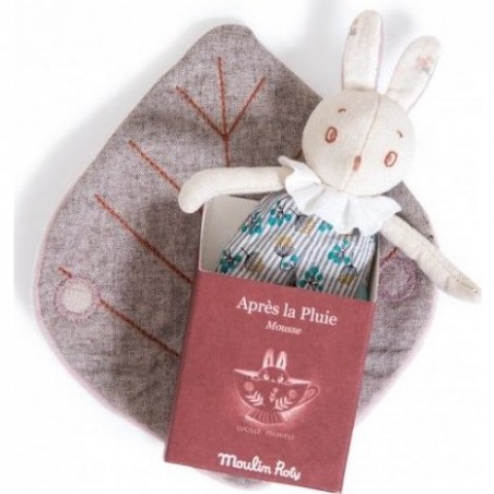 Petit Lapin Mousse Après La Pluie
