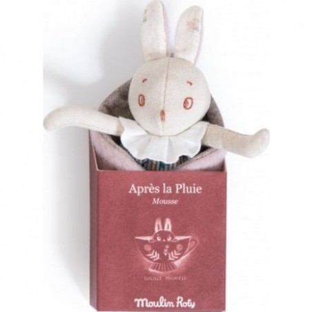 Petit Lapin Mousse Après La Pluie