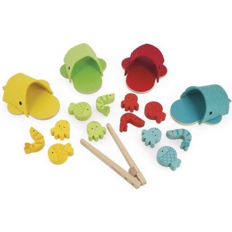 Tri des couleurs - Jouet éveil enfant, jouet en bois - Janod