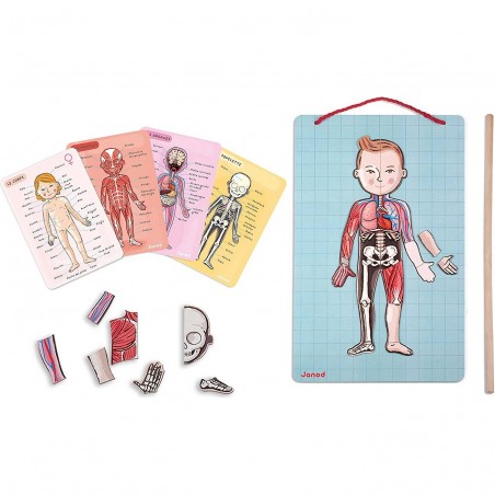 Body magnets - jeu magnétique et éducatif - Janod