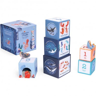 Cubes empilables Les aventures de Paulie - Moulin Roty