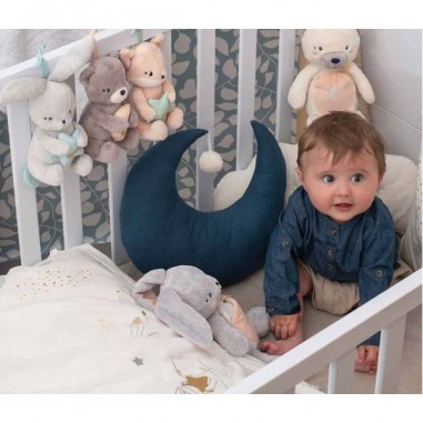 Mon lapin musical - Peluche musicale - Kaloo