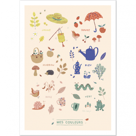 Affiche Couleurs 50x70cm Pomme des bois - Moulin Roty