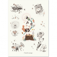 Affiche Pissenlit sauvage 50x70cm Après la pluie - Moulin Roty