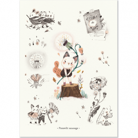 Affiche Pissenlit sauvage 50x70cm Après la pluie - Moulin Roty
