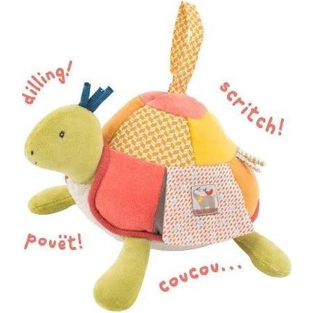 Tortue D Activite Les Papoums