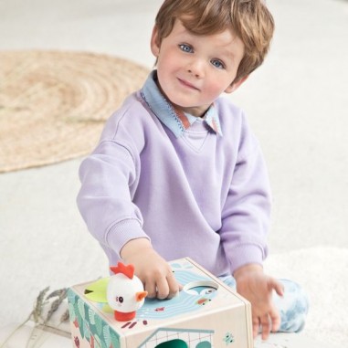 Cube en bois sur le thème de la ferme - Lilliputiens