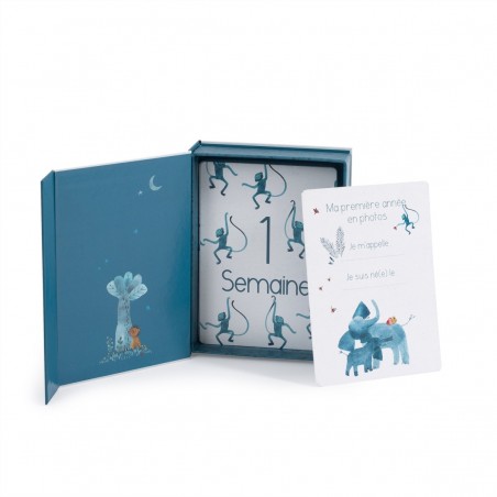 Cartes Mes 12 premiers mois Sous mon baobab (30 cartes) - Moulin Roty
