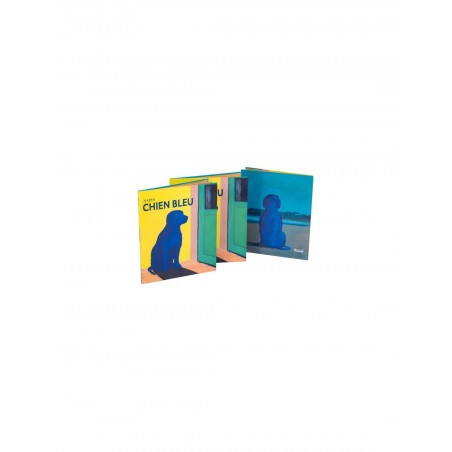 Livre Chien bleu L'école des loisirs Moulin Roty