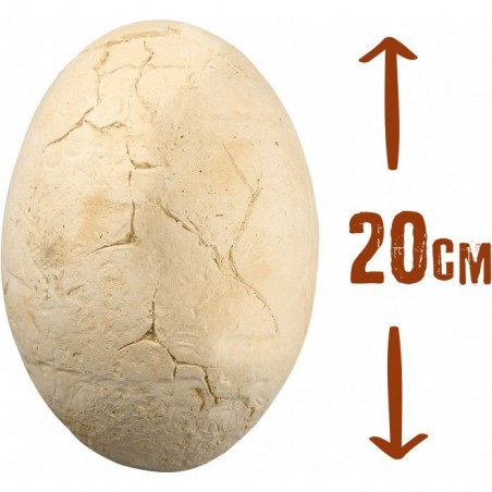 Dino Mega Egg - Accueil - France - Buki