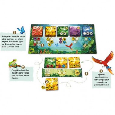 Rainforest - Jeux de société - Funny Fox