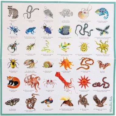 Mémory des animaux Tout autour du monde - Moulin Roty