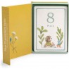 Cartes Mes 12 premiers mois Trois petits lapins - 30 cartes - Moulin Roty
