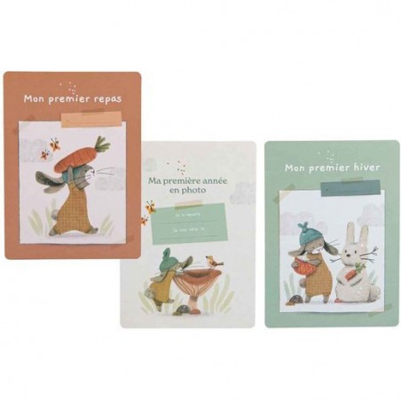 Cartes Mes 12 premiers mois Trois petits lapins (30 cartes) - Moulin Roty