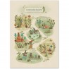 Affiche Le petit jardin 50x70cm Trois petits lapins - Moulin Roty
