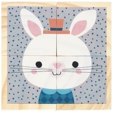 Mes Premiers Cubes - Portraits De La Foret