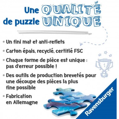 Puzzle 1000 pièces : Harry potter contre voldemort - RAVENSBURGER