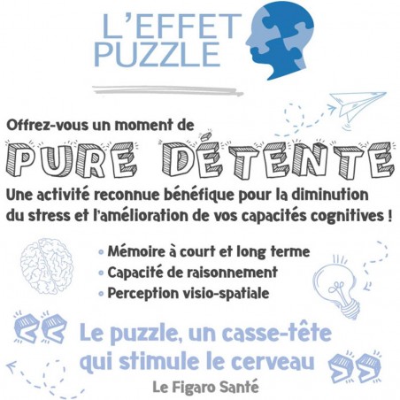 Puzzle 1000 pièce Hp: Harry Potter - RAVENSBURGER