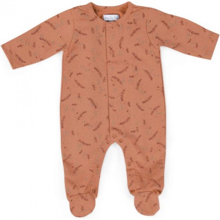 Pyjama 3mois jersey argile Trois petits lapins - Moulin Roty