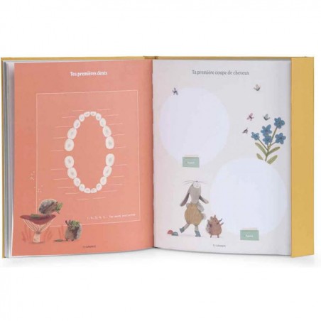 Livre de naissance Trois Petits Lapins - Moulin Roty