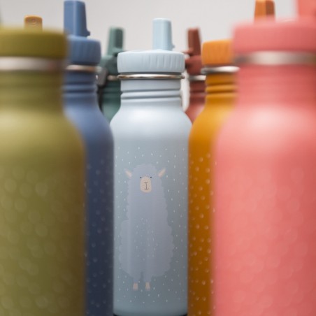 Gourde bleue 500ml - Mr. Alpaca - Trixie