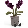 Peluche Plante Orchidée Amuseable - Jellycat