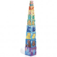 10 cubes Arc en ciel - Un jeu - Djeco 2