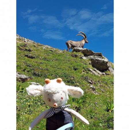 Poupée Mouton Nuage