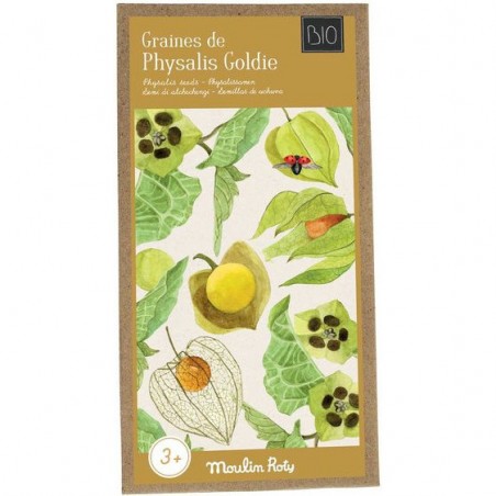 Graines de physalis le jardin du moulin - Moulin Roty