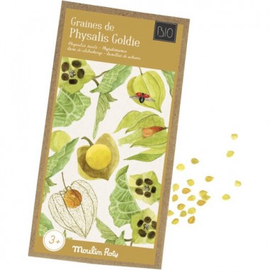 Graines de physalis le jardin du moulin - Moulin Roty