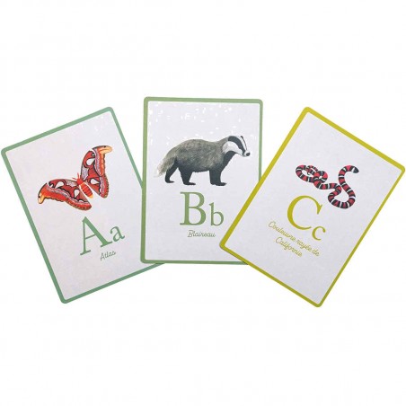 Cartes abécédaire animaux Tout autour du monde - Moulin Roty