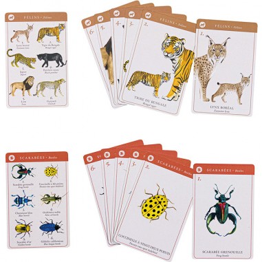 Jeu de 7 familles des espèces Tout autour du monde - Moulin Roty