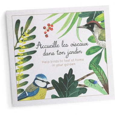 Découverte des oiseaux Le Jardin du Moulin - Moulin Roty