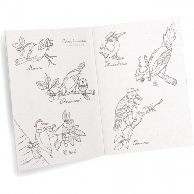 Découverte des oiseaux Le Jardin du Moulin - Moulin Roty