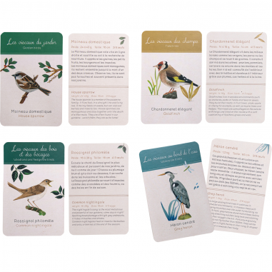 Découverte des oiseaux Le Jardin du Moulin - Moulin Roty