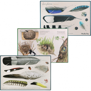 Découverte des oiseaux Le Jardin du Moulin - Moulin Roty