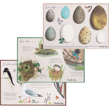 Découverte des oiseaux Le Jardin du Moulin - Moulin Roty