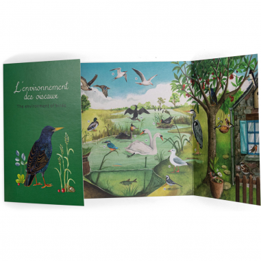 Découverte des oiseaux Le Jardin du Moulin - Moulin Roty